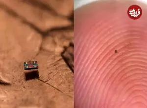 ربات‌هایی کوچکتر از دانۀ شن که می‌توانند شنا کنند