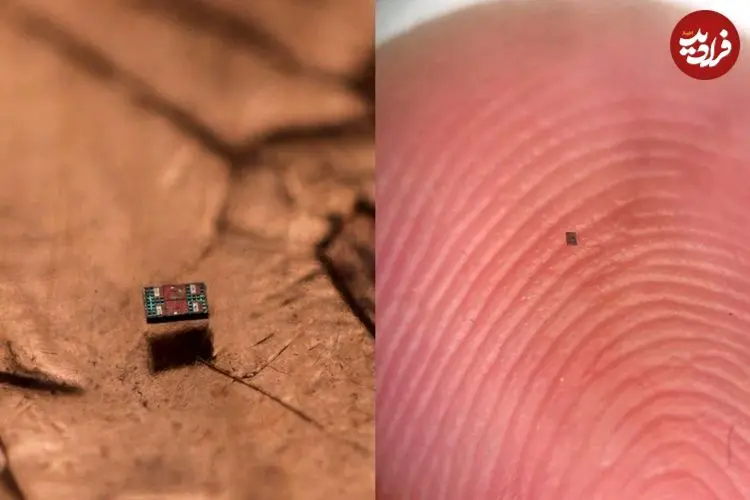 ربات‌هایی کوچکتر از دانۀ شن که می‌توانند شنا کنند