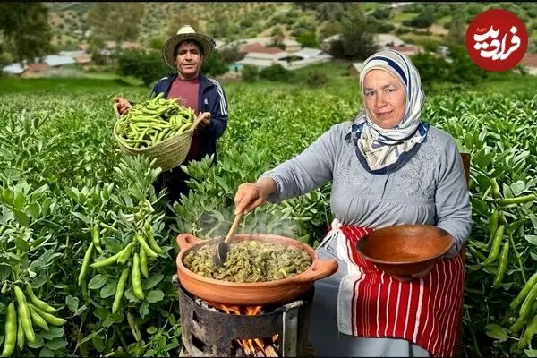 ببینید| غذای روستایی در مراکش؛ برداشت باقالی تازه از مزرعه و پخت آن روی آتش