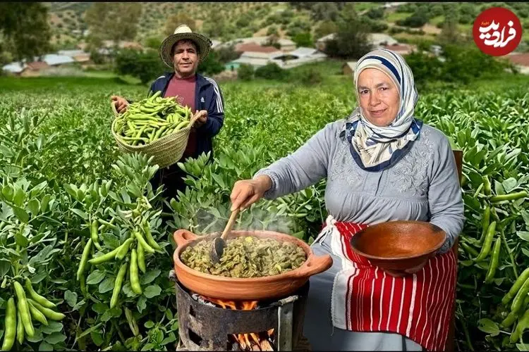 ببینید| غذای روستایی در مراکش؛ برداشت باقالی تازه از مزرعه و پخت آن روی آتش