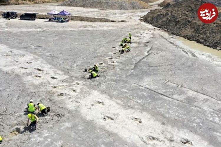 کارگر معدن متوجه یک برآمدگی غیرعادی شد و به طور اتفاقی «اتوبان دایناسورها» را کشف کرد
