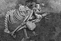 کشف شواهدی از «سگ‌خواری» در اروپای 2500 سال قبل