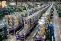 ببینید| صفر تا صد روند تولید کنسرو ماهی تن در چین