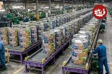 ببینید| صفر تا صد روند تولید کنسرو ماهی تن در چین