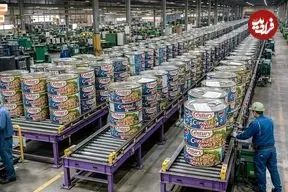 ببینید| صفر تا صد روند تولید کنسرو ماهی تن در چین