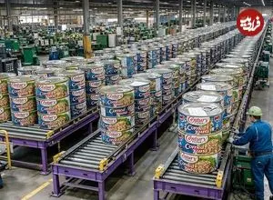 ببینید| صفر تا صد روند تولید کنسرو ماهی تن در چین
