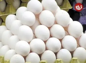 عکس| قیمت جدید یک شانه تخم‌مرغ باعث تعجب شد