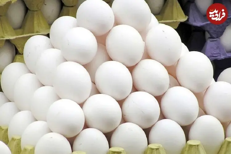 عکس| قیمت جدید یک شانه تخم‌مرغ باعث تعجب شد