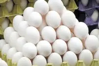 عکس| قیمت جدید یک شانه تخم‌مرغ باعث تعجب شد