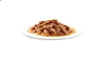 خرید پوچ گربه و پوچ سگ از پت شاپ اینترنتی لیما