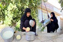 ببینید؛ غذای روستایی در ایران؛ تهیه دوغ و کره سنتی توسط مادربزرگ ایلامی