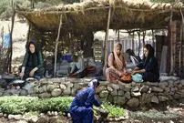 (ویدئو) زندگی عشایری؛ پخت بادمجان و گوجه توسط این خانواده عشایر کردستانی