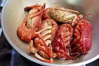 ببینید| غذای خیابانی در تایوان؛ پخت لابستر با سس سویا، سیر و پیازچه در تایپه