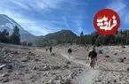 «جمینای» باعث گیر افتادن ۳ کوهنورد شد!
