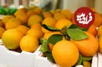 ببینید؛ روسیه خرید پرتقال‌های سمی ایران را متوقف کرد!