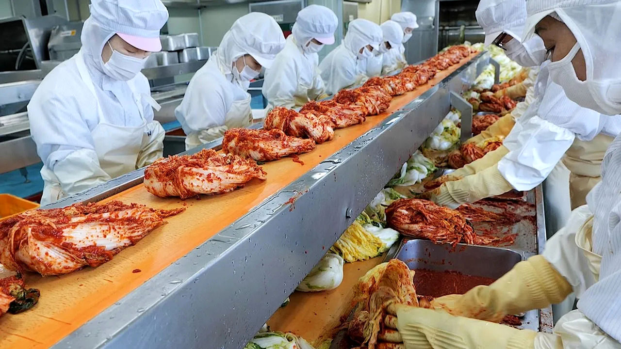 (ویدئو) فرآیند تولید و بسته بندی انبوه کیمچی با کاهو و ترب در یک کارخانه کره ای