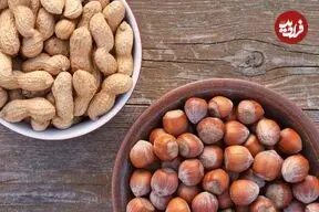 فندق یا بادام‌زمینی؛ کدام‌یک بیشتر کلسترول را پایین می‌آورد؟