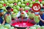 ببینید| غذای روستایی در هند؛ تهیه آب هندوانه تازه در طبیعت روستا