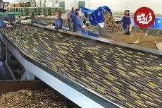 ببینید| مراحل بازیافت میلیاردها پوکه فشنگ و تولید گلوله توپ در کارخانه ای در آمریکا