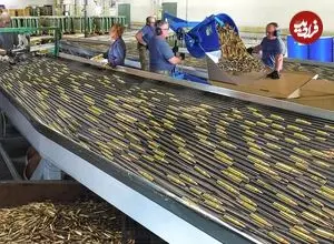 ببینید| مراحل بازیافت میلیاردها پوکه فشنگ و تولید گلوله توپ در کارخانه ای در آمریکا