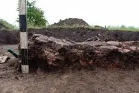 گاو کوچک ۶۰۰۰ ساله در اوکراین از زیر خاک بیرون آمد