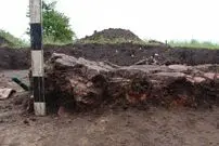 گاو کوچک ۶۰۰۰ ساله در اوکراین از زیر خاک بیرون آمد