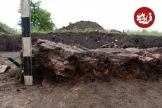 گاو کوچک ۶۰۰۰ ساله در اوکراین از زیر خاک بیرون آمد