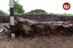 گاو کوچک ۶۰۰۰ ساله در اوکراین از زیر خاک بیرون آمد