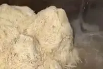 (ویدئو) یک کارگاه معمولی و استاندارد تولید نودل در هند!
