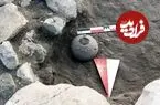 کشف غیرمنتظرۀ «بذر گل عشق» در یک کوزۀ 4 هزارساله