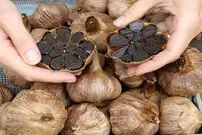 سیر سیاه برای چی خوبه ؟؛ چگونه سیر سیاه خوب را تشخیص دهیم؟ 