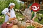 ببینید| غذای روستایی در ایران؛ پخت کدو حلوایی پر شده با مرغ  و برنج روی آتش