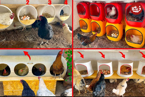 (ویدئو) 4 ایده کاربردی و ارزان برای ساخت لانه مرغ با سطل و دبه های پلاستیکی