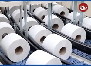 ببینید؛ دستمال توالت چگونه تولید می شود؟