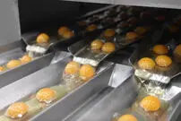 (ویدئو) عملیات تماشایی فرآوری زرده تخم مرغ در یک کارخانه ژاپنی