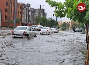 ببینید؛ خوشحالی مردم استان هرمزگان از باران سیل آسا!
