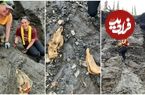 جمجمۀ سالم «اسب» بعد از 30 هزار سال از یک معدن بیرون آمد