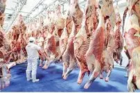 وضعیت عجیب در بازار گوشت؛ فروش گوسفند با کارت ملی سوژه شد!