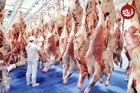 وضعیت عجیب در بازار گوشت؛ فروش گوسفند با کارت ملی سوژه شد!