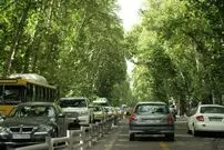 (ویدئو) همزاد خیابان ولیعصر تهران در ازبکستان پیدا شد!