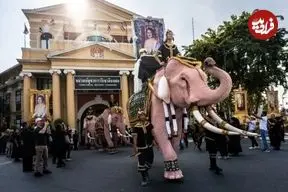 ببینید| رژه فیل‌های صورتی در تایلند برای ادای احترام به ملکه مادر