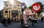 ببینید| رژه فیل‌های صورتی در تایلند برای ادای احترام به ملکه مادر