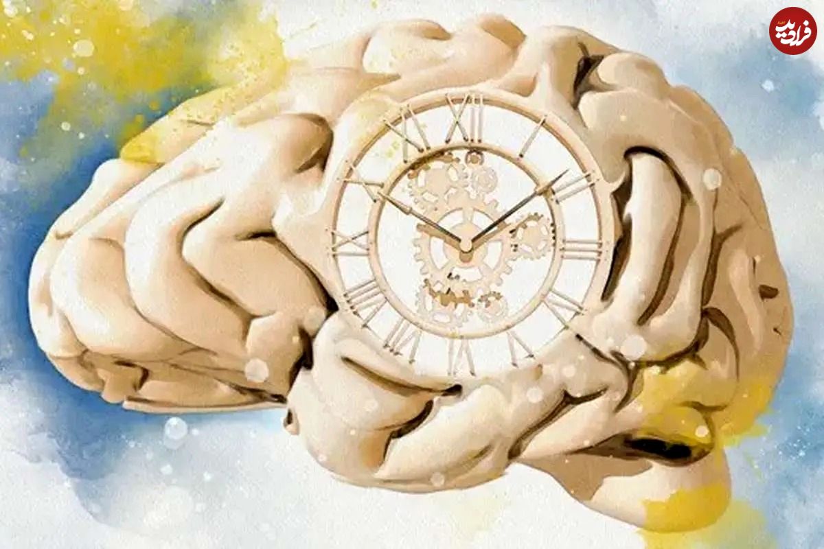 دانشمندان پاسخ میدهند: چرا هرچه سنمان بالاتر میرود زمان زودتر میگذرد؟