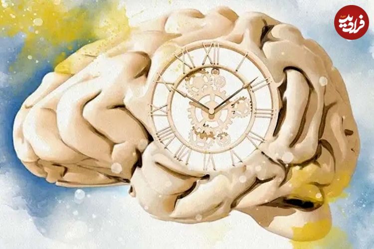 دانشمندان پاسخ می‌دهند: چرا هرچه سن‌مان بالاتر می‌رود زمان زودتر می‌گذرد؟