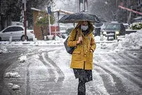 (عکس) بارش برف در این شهر 