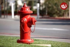 پایان تلخ یک بعدازظهر عاشقانه در آمریکا؛ حادثه ای با احتمال یک در میلیون