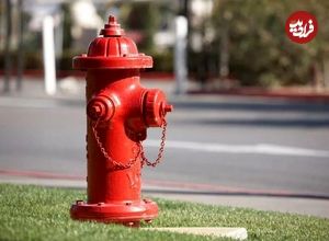 پایان تلخ یک بعدازظهر عاشقانه در آمریکا؛ حادثه ای با احتمال یک در میلیون