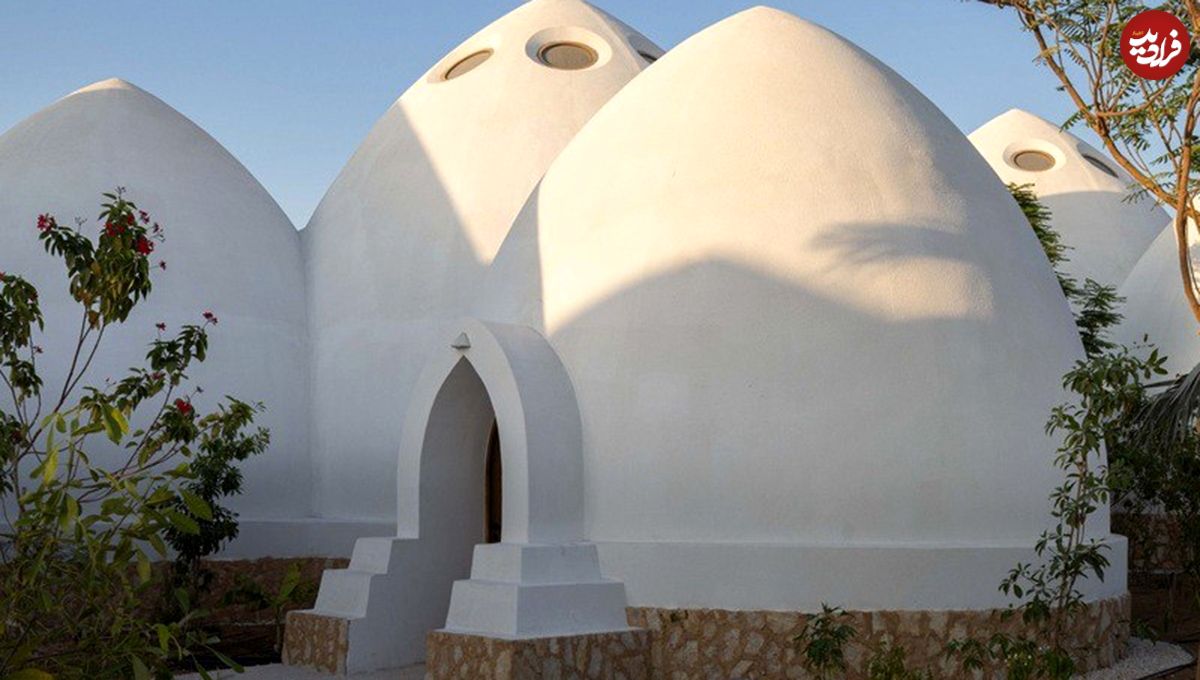 تصاویر؛ معماری جدید در امارات؛ مدرسهای با طرح الهامگرفته از ماهی کوی