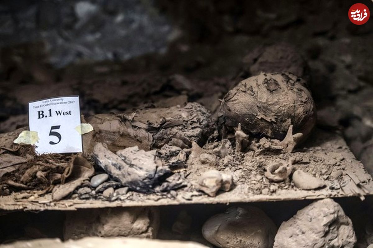(تصاویر) کشف ۱۷ مومیایی چندین هزار ساله در مصر