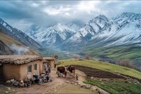 ببینید؛ غذای روستایی در افغانستان؛ شخم زدن زمین و پخت پلو گوجه-سیب زمینی